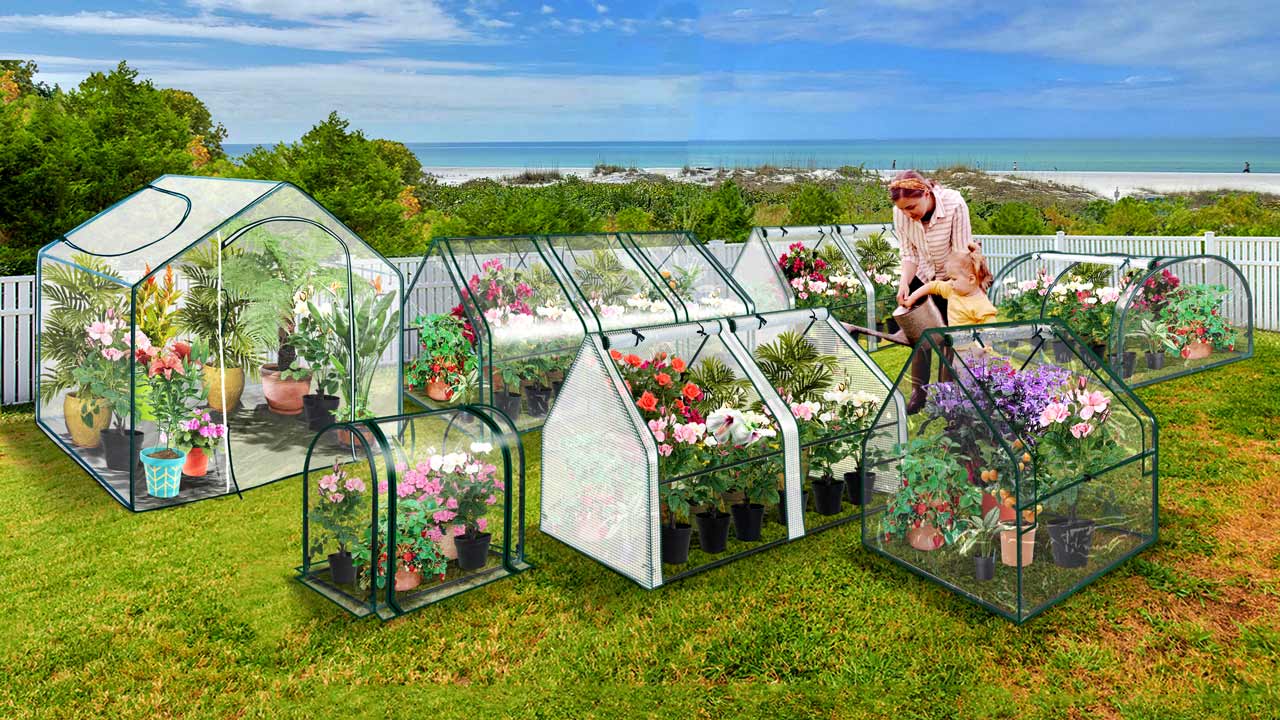Mini-Greenhouse-photo(1280x720)